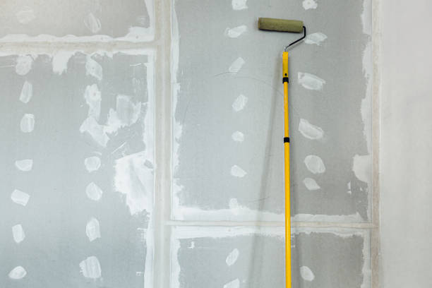 Best Comprehensive Air Testing for Mold Contaminants  in Terryville, NY