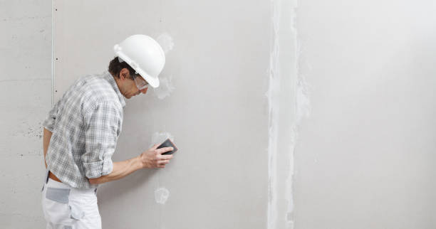 Best Mold Prevention Services  in Terryville, NY