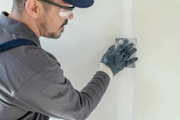Best Attic Mold Removal  in Terryville, NY