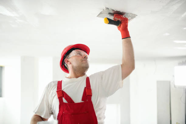 Best Mold Damage Restoration  in Terryville, NY