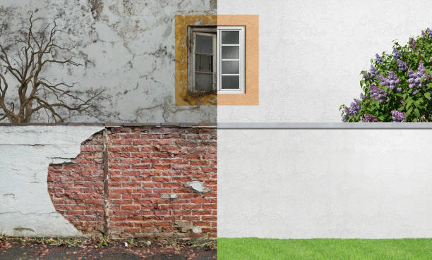 Best Mold Odor Removal Services  in Terryville, NY