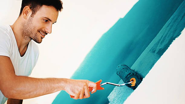 Best Emergency Mold Remediation  in Terryville, NY
