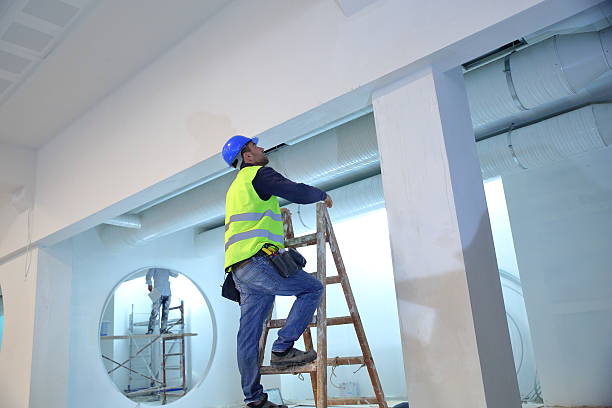 Best Airborne Mold Testing  in Terryville, NY