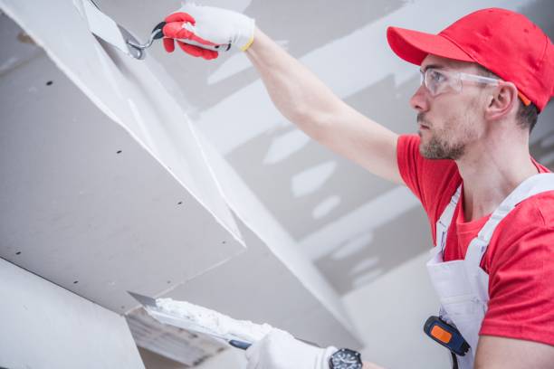 Reliable Terryville, NY Mold Removal Solutions